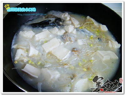 黄豆芽鱼头豆腐汤Ga.jpg