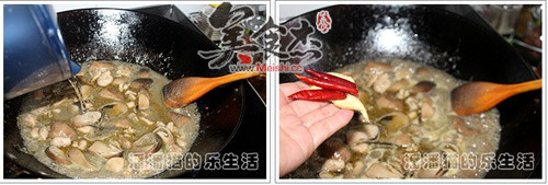 绿咖喱蘑菇鸡Kc.jpg