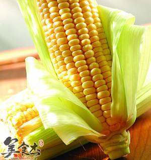 吃玉米有这些惊人功效_食物食材营养手册