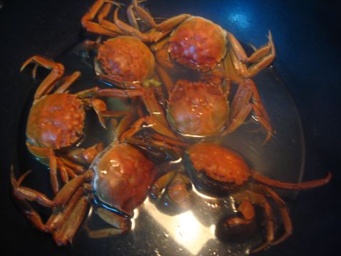 清煮阳澄湖螃蟹的做法