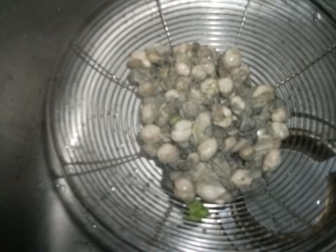 蒜炒牡蛎的做法_家常蒜炒牡蛎的做法【图】蒜
