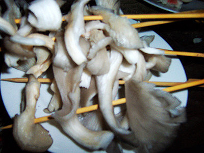 鲜蘑洗净撕成小条穿成串.