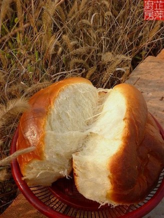 橄榄油老式面包的做法_家常橄榄油老式面包的