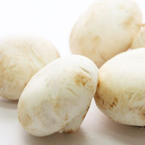 【白菇】白菇的功效_白菇图片_食材百科_美食杰