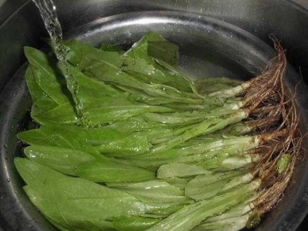 素炒油麦菜kz.jpg