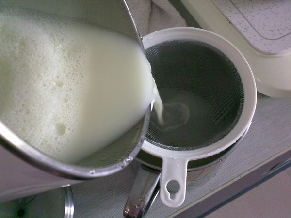 【图】牛奶豆浆_牛奶豆浆的做法,怎么做,如何