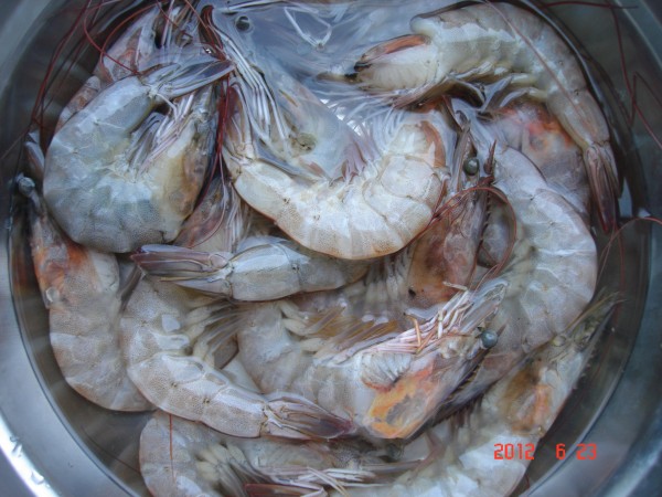 五香水煮虾的做法