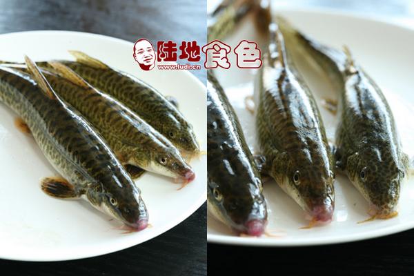 岷江宴语成都菜馆觅食poco加盟餐馆