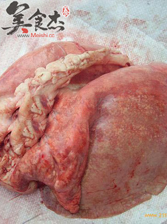 正常羊肺图片图片