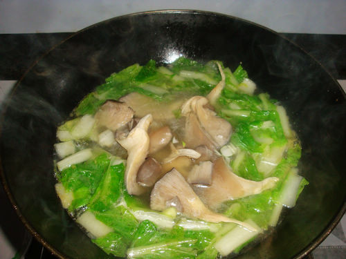 平菇白菜汤图片