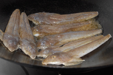 巢湖鸡腿鱼图片