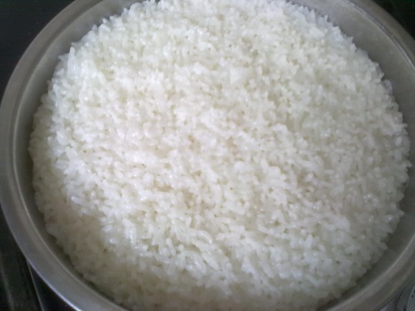 米饭图片大全 真实图片