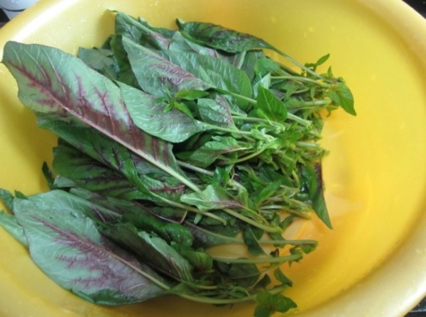 蒜蓉炒紫苋菜的做法